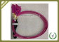 MTP TO MTP  LC OM4 12 Core Fiber Optic Patch Cord Violet Color Multimode LSZH Jacket supplier