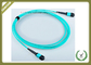 OM3 12 Core Optical Fiber Jumper For Industrial Automation / Control Bus System supplier