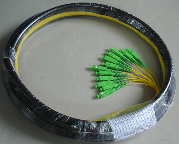 Waterproof 12 Core Fiber Optic Pigtail With SC APC Connector PE Jacket